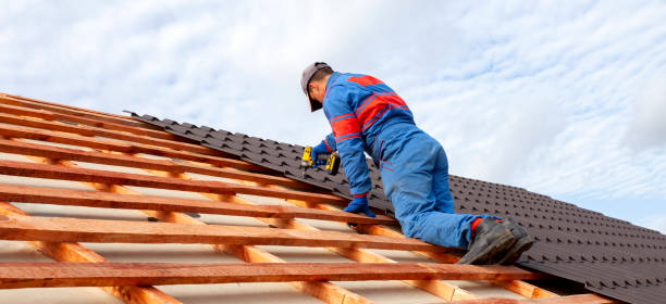 Steel Roofing in Ionia, MI