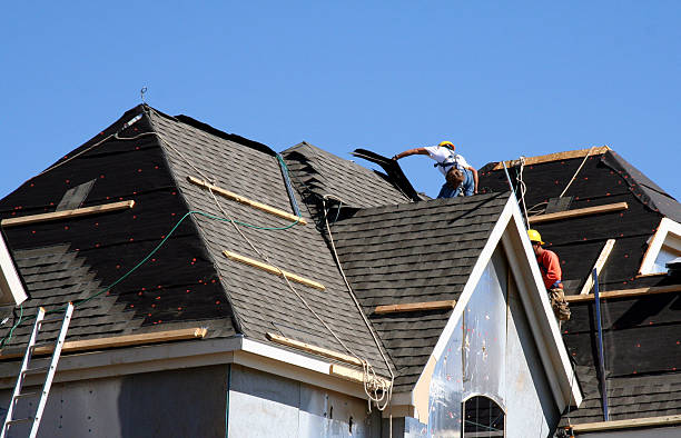 Best Roof Moss and Algae Removal  in Ionia, MI