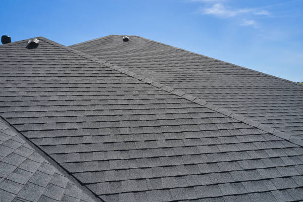 Best Roof Repair  in Ionia, MI